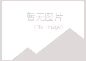 河池小夏采矿有限公司